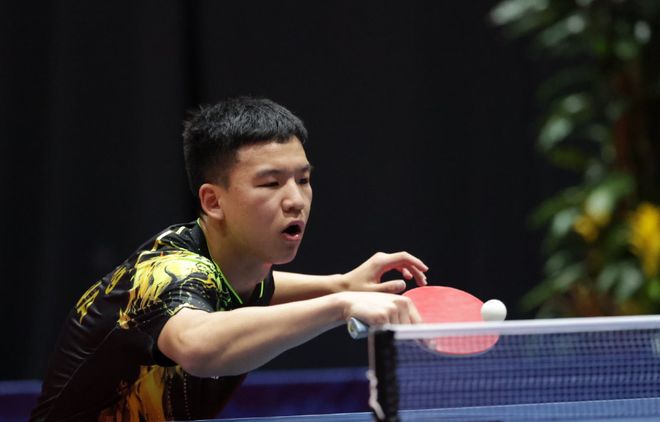 协作能力 协作能力